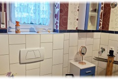 Gaestehaus-Taraba-Metzingen-Appartement-Celine-Bad-1