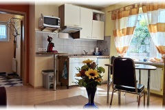 Gaestehaus-Taraba-Metzingen-Appartement-Celine-Kueche-2