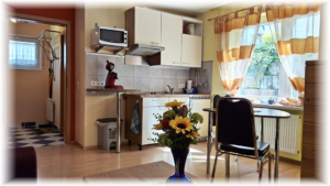 Gästehaus-Taraba-Metzingen-Appartement-Celine-Küche-2